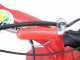Eurosystems P55 - Benzin-Hochgrasm&auml;her - Loncin 196 ccm