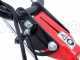 Eurosystems P55 - Benzin-Hochgrasm&auml;her - Loncin 196 ccm