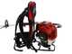 Benzin-Hochentaster 2-Takt-Motor GeoTech GT-2 52 BP mit Teleskopschaft - 52 ccm