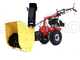 Hochgrasm&auml;her Eurosystems P70 EVO -  Sichel-Mulchm&auml;her cm 63-  Motor Loncin 224 OHV