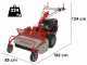 GeoTech-Pro GFM 760 BS-E - Hochgrasm&auml;her mit Y-Messer - B&amp;S XR2100