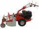 GeoTech-Pro GFM 760 BS-E - Hochgrasm&auml;her mit Y-Messer - B&amp;S XR2100