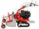 GeoTech-Pro GFM 860 BS-E - Hochgrasm&auml;her mit Hammerwerk - B&amp;S XR2100