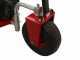 Ceccato Olindo Tritone Monster Electric - Elektro H&auml;cksler - 400V - 12,5 PS