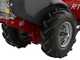Eurosystems RTT 3 &ndash; Benzin-Einachsschlepper &ndash; Brigs&amp;Stratton CR950 &ndash; 7 PS