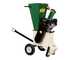 GreenBay GB-WDC 75 L - H&auml;cksler mit Benzinmotor Loncin