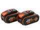 Worx NITRO WG186E - Akku-Rasentrimmer - 2x20V/4Ah