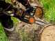 WORX NITRO WG385E.9 - Akku-Kettens&auml;ge - 40V - SOLO