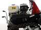 Benassi T750 SHD -Hochgrasm&auml;her mit Hammerwerk mit Raupenantrieb  - Honda Motor GX270