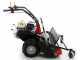 Benassi T900P - Schlegelmulcher mit Y-Messern - Honda Motor GX390