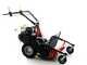 Benassi T750SP - Professioneller Schlegelmulcher mit Y-Messern  - Honda Motor GX270