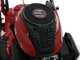 Rasenm&auml;her Marina Systems GX BIOMULCH 51SL  - Loncin 65FC Motor