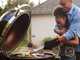 Weber Summit Kamado E6 - Kohlegrill - Durchmesser des Grillrosts 61 cm