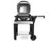 Elektrogrill Weber Pulse 2000 mit Gestell