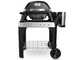 Elektrogrill Weber Pulse 2000 mit Gestell