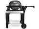 Elektrogrill Weber Pulse 2000 mit Gestell
