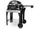 Elektrogrill Weber Pulse 2000 mit Gestell