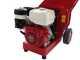 Ceccato Tritone Maxi - Benzin H&auml;cksler - mit Honda-Motor GX 390
