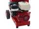 Ceccato Tritone Maxi - Benzin H&auml;cksler - mit Honda-Motor GX 390