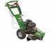 GreenBay Deep L-200 - Baumstumpffr&auml;se - Loncin-Motor 196 ccm - Schneideger&auml;t mit 8 Wolframkarbidh&auml;mmern