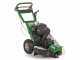 GreenBay Deep LE-330 - Baumstumpffr&auml;se - Loncin-Motor 420 ccm mit E-Starter - Schneideger&auml;t mit 8 Wolframkarbidh&auml;mmern