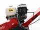 Benassi FR280 - Baumstumpffr&auml;se - Honda-Motor GX390 - Schneideger&auml;t mit 12 H&auml;mmern