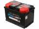 Elektrischer batteriebetriebener Olivenr&uuml;ttler Zanon Karbonium EVO AL 200/K - 170/250 - Teleskopschaft
