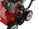 Weibang WB486CRC - Profi Benzin-Vertikutierer mit Pendelmesser  - Loncin G200F
