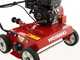 Weibang WB486CRC - Profi Benzin-Vertikutierer mit Pendelmesser  - Loncin G200F