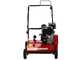 Weibang WB486CRC - Profi Benzin-Vertikutierer mit Pendelmesser  - Loncin G200F