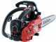 Benzin-Baumpfleges&auml;ge SHINDAIWA  SDK 251TCS - Motor 25cm&sup3;