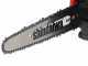 Benzin-Baumpfleges&auml;ge SHINDAIWA  SDK 251TCS - Motor 25cm&sup3;
