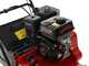 Weibang WB384RC - Profi Vertikutierer mit Pendelmessern - Loncin Motor G200F