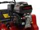Weibang WB384RC - Profi Vertikutierer mit Pendelmessern - Loncin Motor G200F