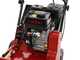 Weibang WB384RC - Profi Vertikutierer mit Pendelmessern - Loncin Motor G200F