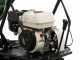 Raupentransporter GreenBay EXPANDER 300 - Honda GP160 Motor - ausziehbarer Kasten