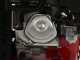 Ceccato Tritone Maxi - H&auml;cksler mit Verbrennungsmotor - Honda GX 390 - Elektrostarter