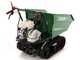 Raupendumper  Dumper GreenBay Tipper 300 - Honda GP160 Motor