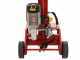 Senkrechter elektrischer Holzspalter CECCATO BULL SPLE10T - 10 Tonnen