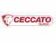 Senkrechter Benzin-Holzspalter Ceccato BULL SPL16R4H - Motor Honda GX200
