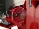 Senkrechter Benzin-Holzspalter Ceccato BULL SPL16R4H - Motor Honda GX200
