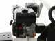 Benzin- Mehrzweck-Holzspalter ausrichtbar Blackstone PML 28-60 R - Rato R210 Motor