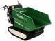Raupentransporter Dumper GreenBay TIPPER-H 500 - Motor BS XR1450 - Hydraulische Mulde