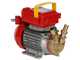 Rover 20 Bypass - Elektrische Umf&uuml;llpumpe aus Bronze - 230V