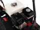 Raupentransporter ausziehbar RANGER M370 - Honda GX160 Motor
