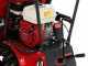 Raupentransporter ausziehbar RANGER M370 - Honda GX160 Motor