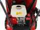 Raupentransporter ausziehbar RANGER M370 - Honda GX160 Motor