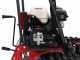 Raupentransporter mit ausziehbarer Ladefl&auml;che AgriEuro Premium RANGER M570 H-E - Honda GX200 Motor - E-Starter