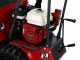 Raupentransporter mit ausziehbarer Ladefl&auml;che AgriEuro Premium RANGER M570 H-E - Honda GX200 Motor - E-Starter