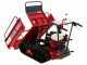Raupentransporter mit ausziehbarer Ladefl&auml;che AgriEuro Premium RANGER M570 H-E - Honda GX200 Motor - E-Starter